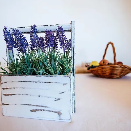 Bright In Dalmatia By The Sea *