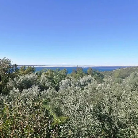 In Near Paklenica Park * Starigrad-Paklenica
