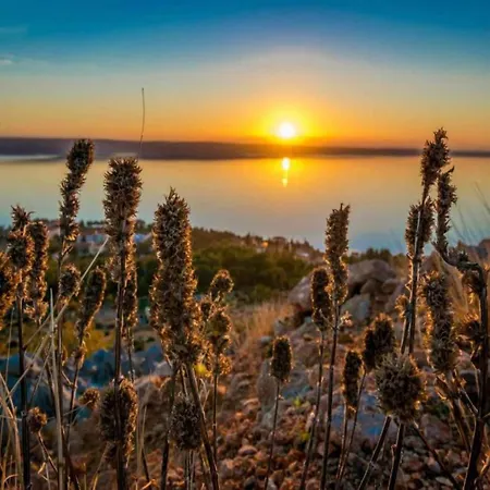 Bright In Dalmatia By The Sea Apartamento Starigrad Paklenica