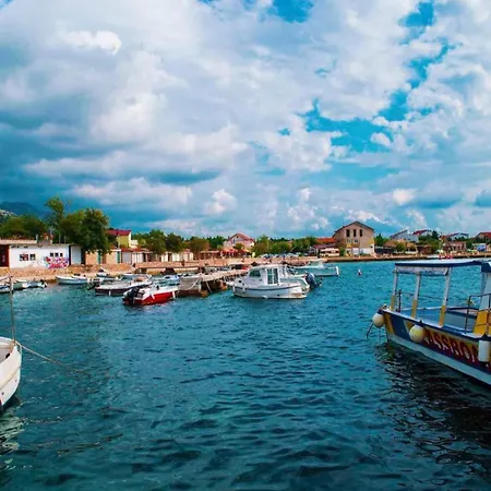 Bright In Dalmatia By The Sea *