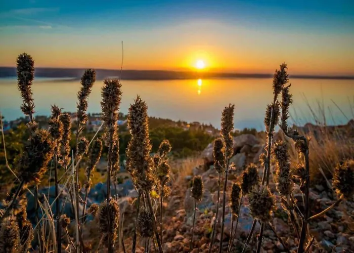 In Near Paklenica Park Διαμέρισμα Starigrad Paklenica